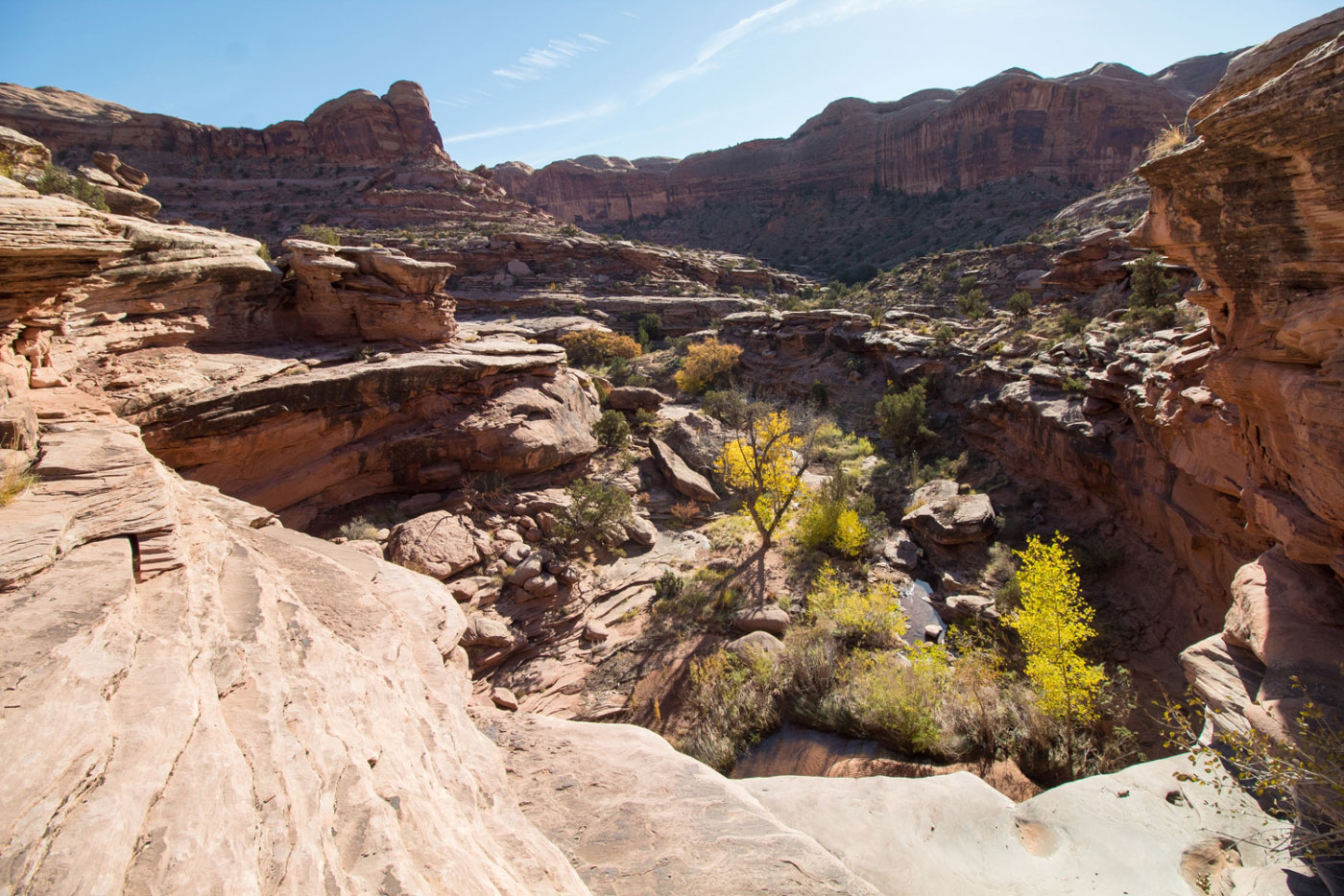 Take this trail after crossing under the railroad track. - Cameltoe Canyon  - Moab - Road Trip Ryan