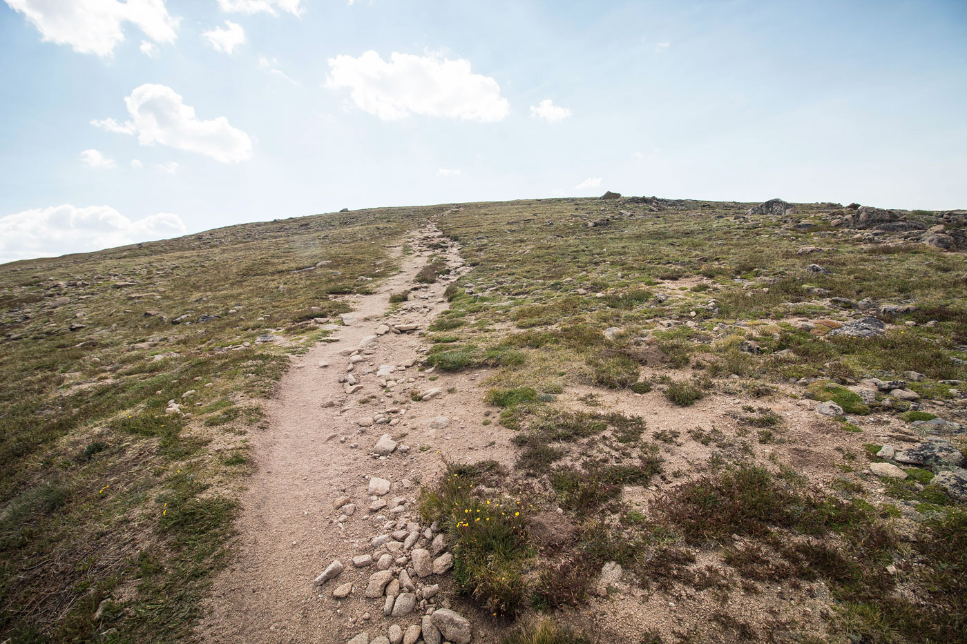 Hike Mount Sniktau and Cupid in Arapaho National Forest