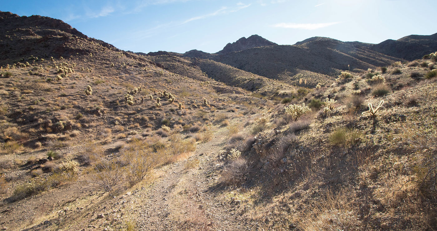 Hike Hardy Mountain and Cathedral Rock Loop in Black Mountains BLM