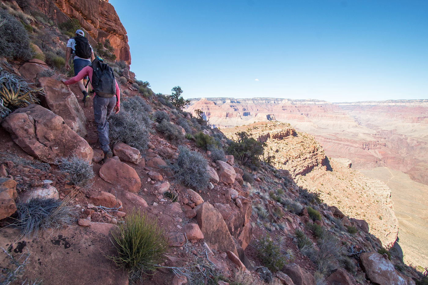 ⏩SOLVED:SSM Suppose you are hiking down the Grand Canyon. At the…