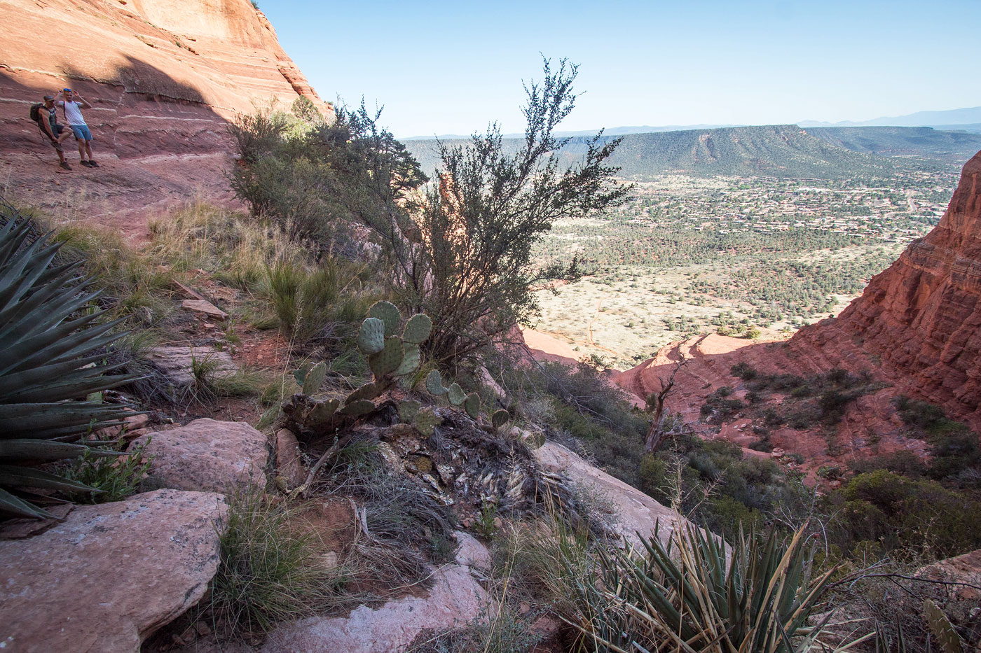 A7 ココバット A TOURIST GUIDE TO COCOBAT+MICH A7 Cocobat / A Tourist Guide to Cocobat + Mich