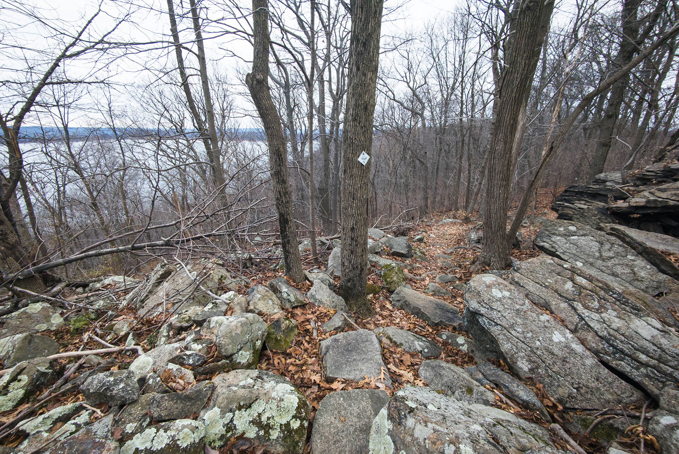 Cushetunk Mountain Nature Preserve