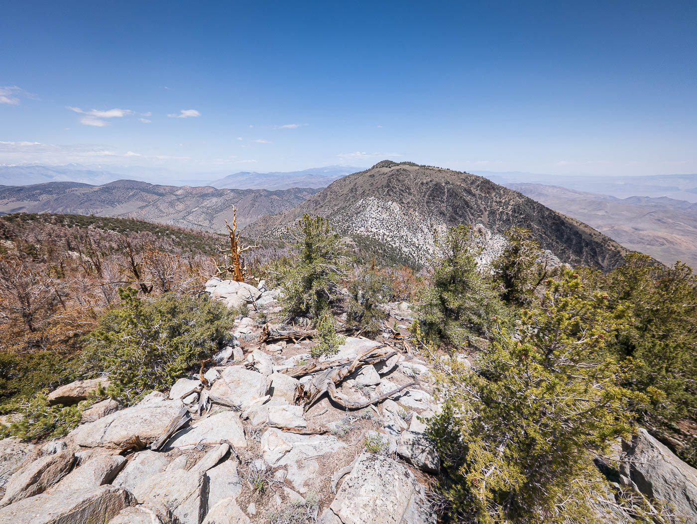 Waucoba Mountain and Wunupu Peak in Inyo National Forest, CA