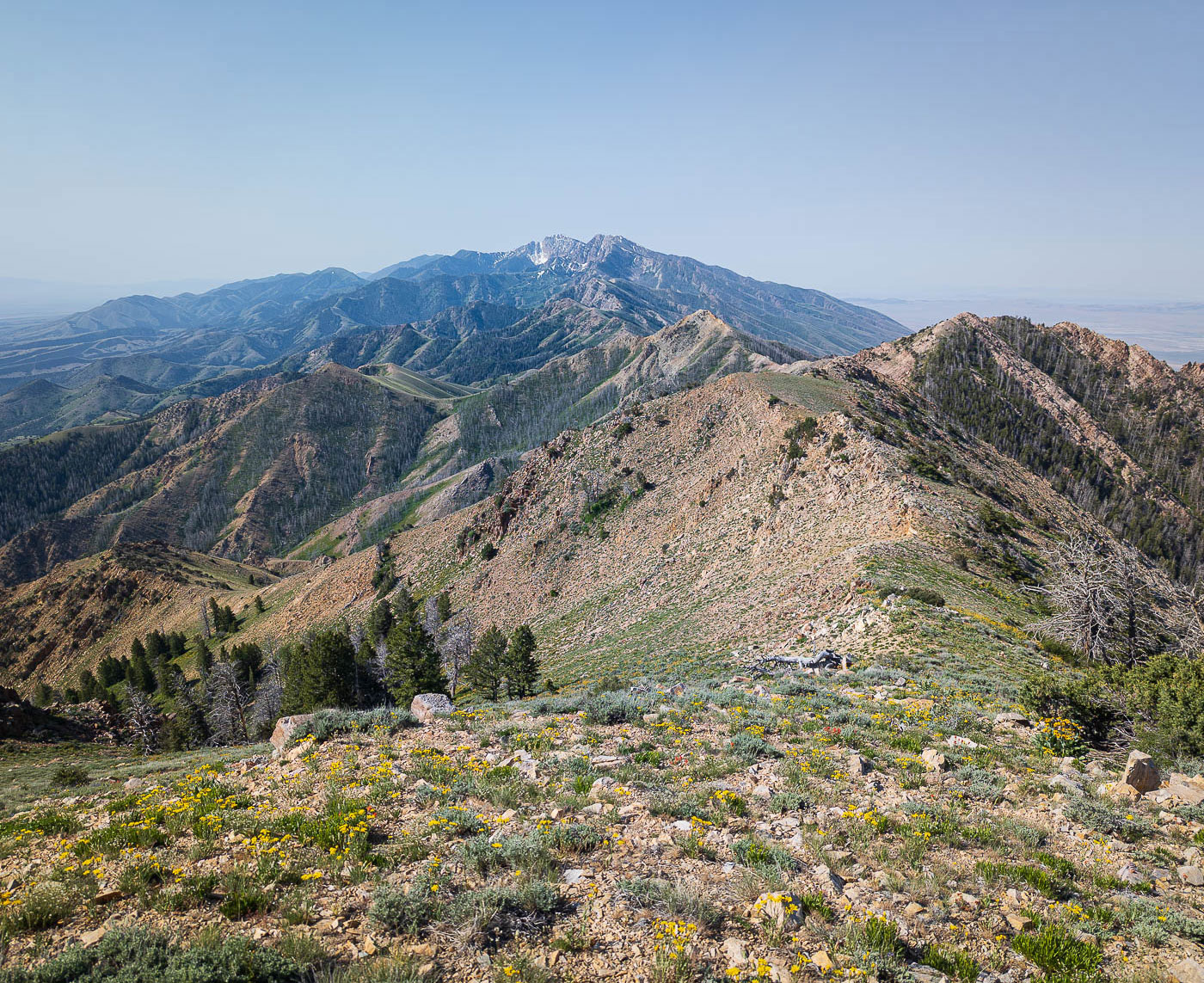 Onaqui Benchmark in Uinta-Wasatch-Cache National Forest, UT