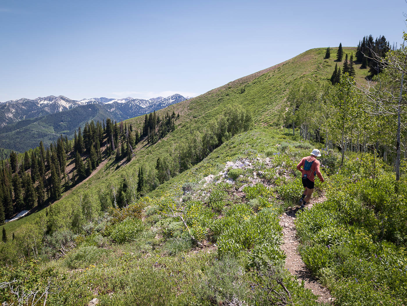 Reynolds Peak, Little Water Peak, Lake Desolation in Uinta-Wasatch-Cache National Forest, UT