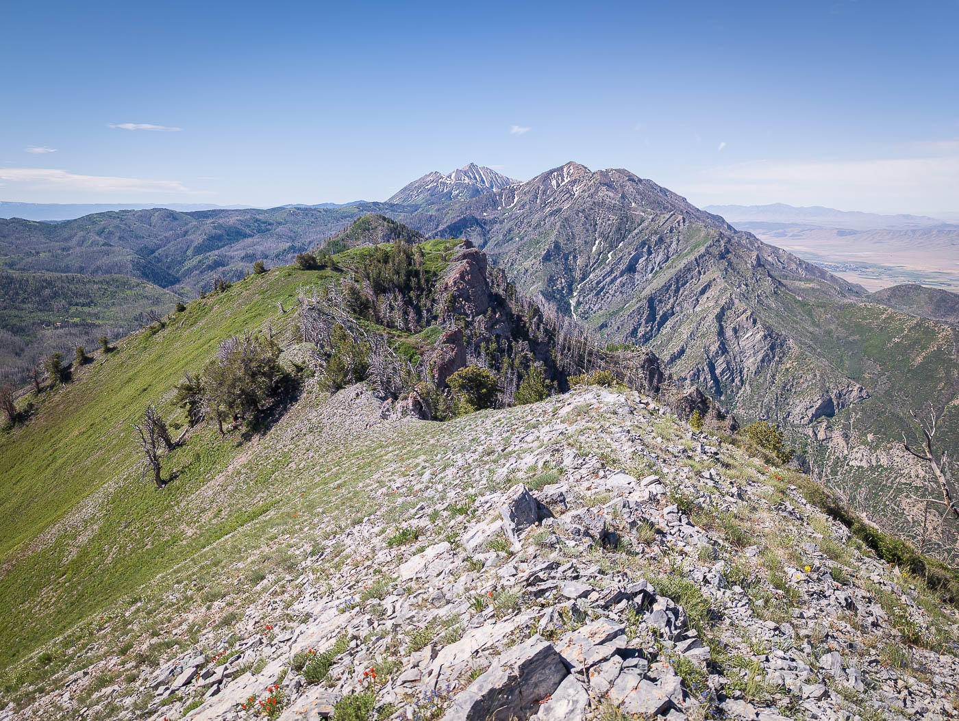 Dry Mountain in Uinta-Wasatch-Cache National Forest, UT
