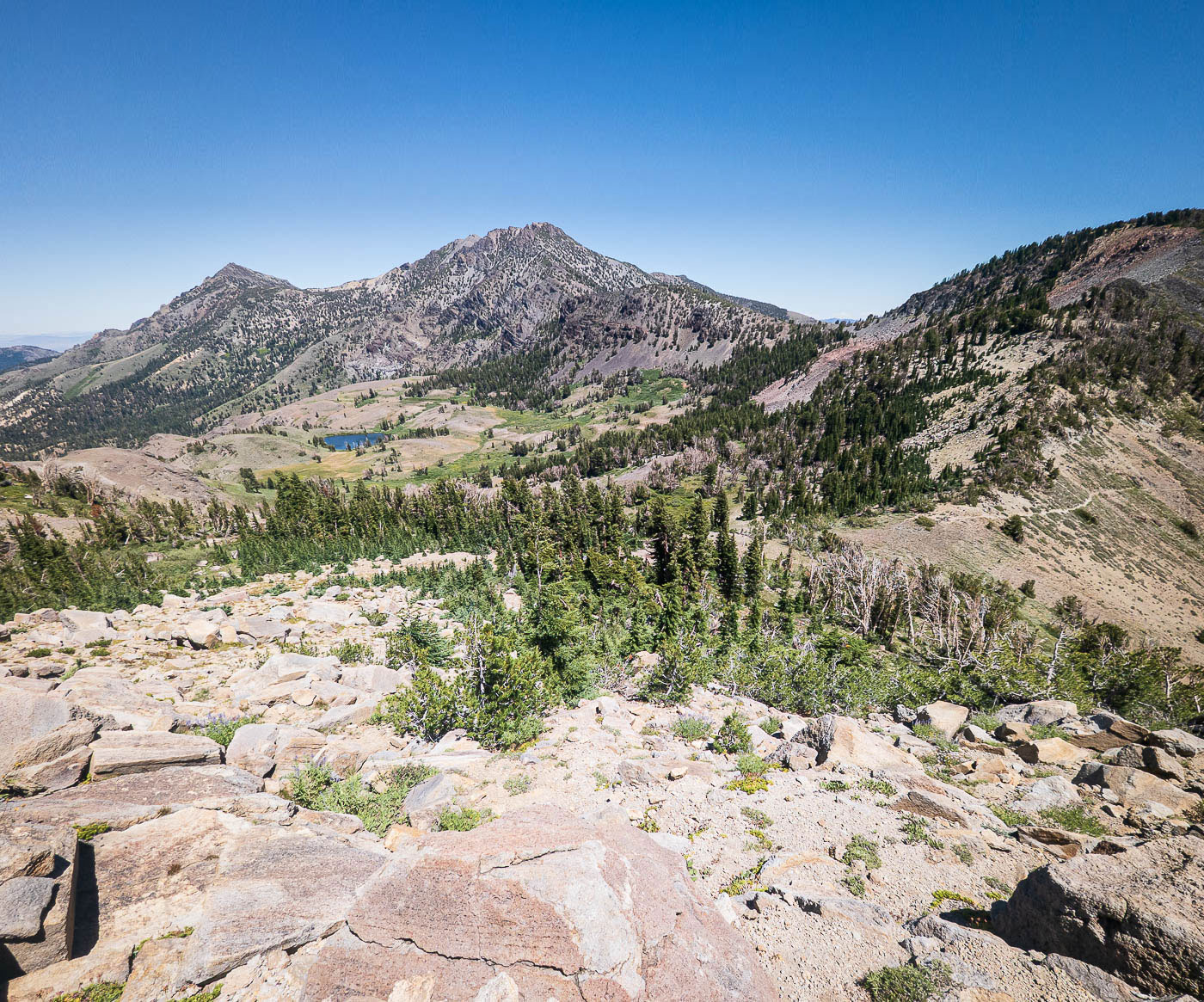 Highland Peak and Tryon Peak via Ebbetts Pass in Humboldt-Toiyabe National Forest, CA