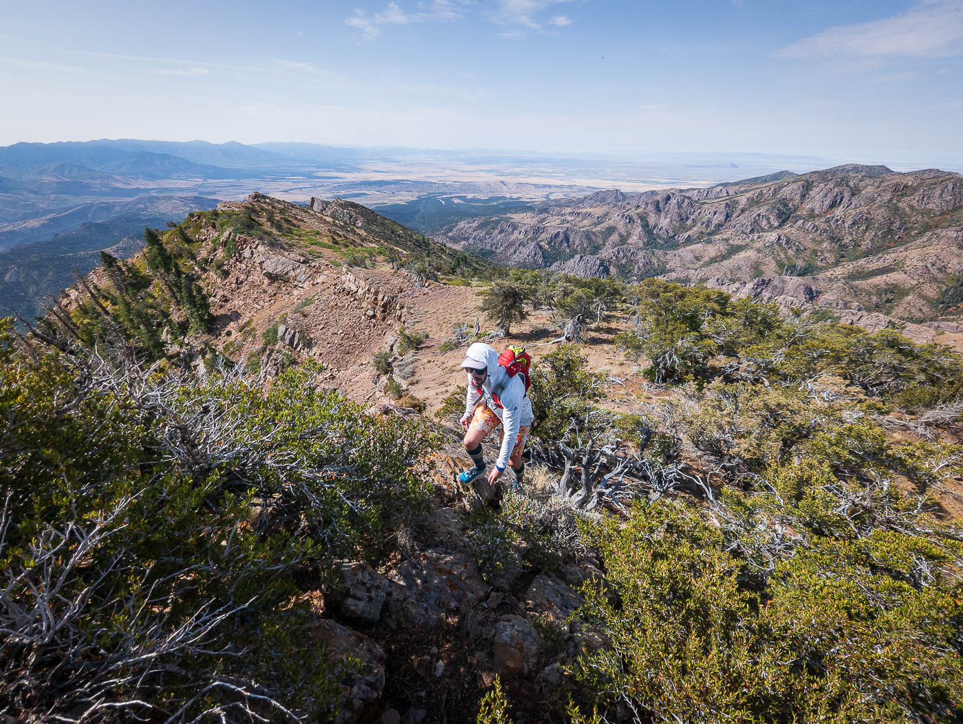 Williams Peak in Fishlake National Forest, UT
