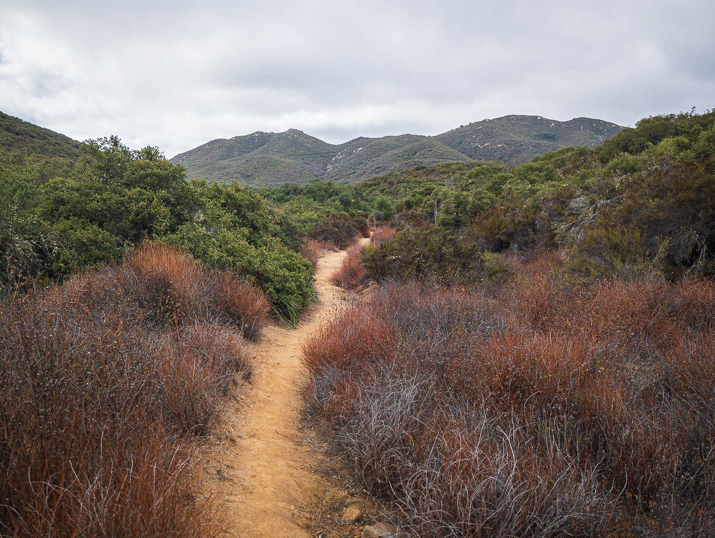 Boy Scout Peak and Sitton Peak in Cleveland National Forest, CA